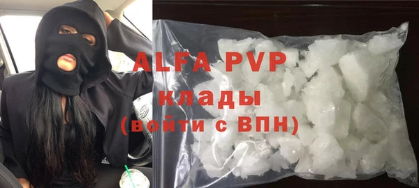 гидра Вязьма
