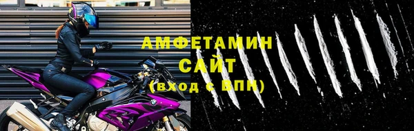 гидра Вязьма