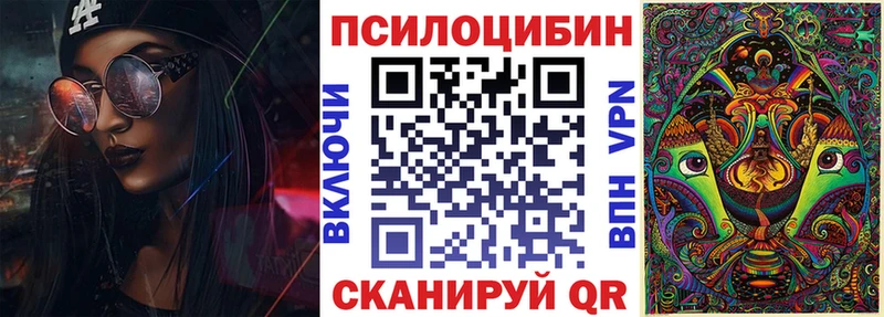 закладка  Дегтярск  Псилоцибиновые грибы Psilocybe 